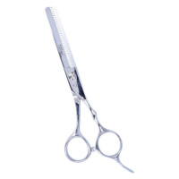 Eurostil ISIS Cutting Scissors 6" - profesionální nůžky, pravá ruka 07024 - Silver