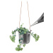 EVA SOLO Samozavlažovací závěsný květináč Nordic matná šedá