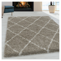 Kusový koberec Alvor Shaggy 3401 beige 80x250 cm