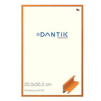 DANTIK rámeček 20 × 30, ALU profil 6030 Dýha barevný oranžový sklo čiré