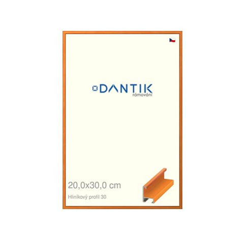 DANTIK rámeček 20 × 30, ALU profil 6030 Dýha barevný oranžový sklo čiré