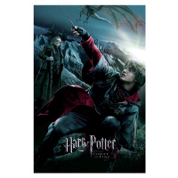 Umělecký tisk Harry Potter - Ohnivý pohár - Harry, (26.7 x 40 cm)