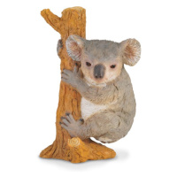 COLLECTA - Koala na stromě