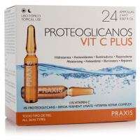 Praxis Laboratorios Proteoglicanos Vit C Plus 24 x 2 ml ampoules