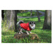 Vsepropejska Cloudy pláštěnka pro psa s kapucí Barva: Červená, Délka zad (cm): 33, Obvod hrudník