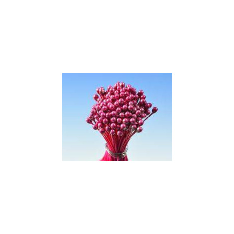 Pestíky perleťové červené svazek - Hamilworth
