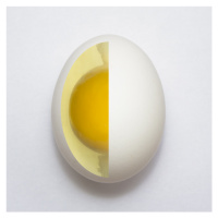 Fotografie Inner Egg, Adelino Alves, 40 × 40 cm