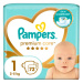 PAMPERS Premium Care plenky vel. 1, 2-5 kg, 72 ks