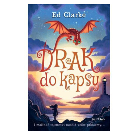 Drak do kapsy bambook