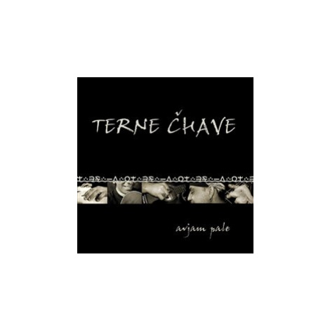 Terne Čhave - Avjam Pale CD