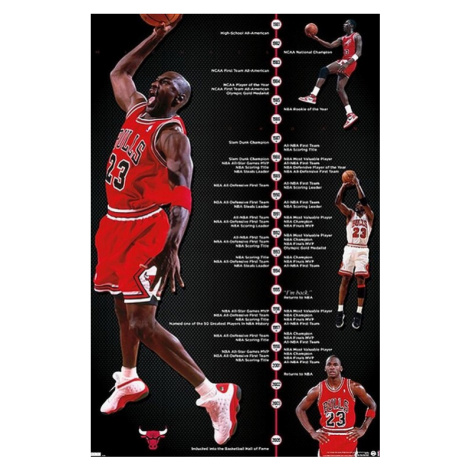 Michael Jordan - Timeline, 56.8x86.4 cm