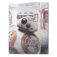 Obraz na plátně Star Wars The Last Jedi - BB - 8 Peek, (60 x 80 cm)