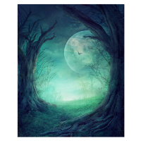 Ilustrace Halloween Spooky Forest, mythja, 30 × 40 cm