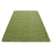 Ayyildiz koberce Kusový koberec Dream Shaggy 4000 green Rozměry koberců: 80x150