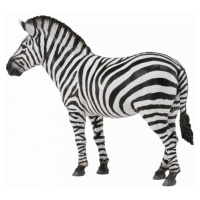 Collecta zebra