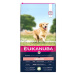 Eukanuba Senior Large & Giant Lamb 12 kg