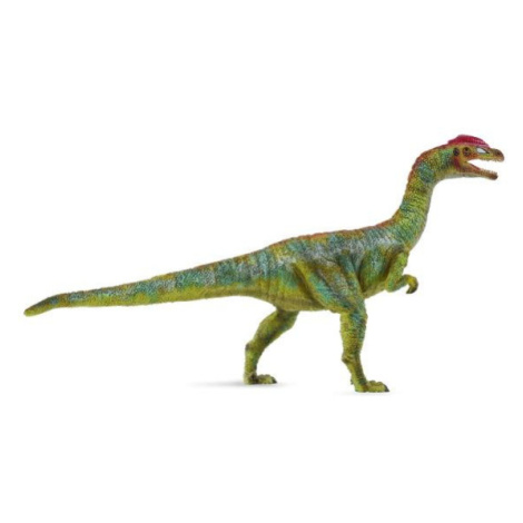 Dinosaurus Liliensternus COLLECTA