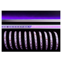 Light Impressions Deko-Light flexibilní LED pásek 5050-60-24V-fialová-5m 24V DC 10,00 W/m 3 lm/m