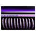 Light Impressions Deko-Light flexibilní LED pásek 5050-60-24V-fialová-5m 24V DC 10,00 W/m 3 lm/m