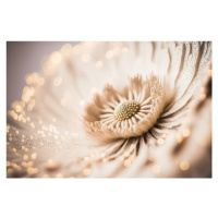 Fotografie Beige Coral Flower, Treechild, 40 × 26.7 cm