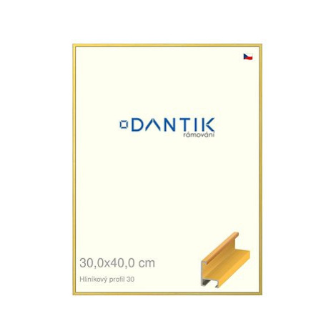 DANTIK rámeček 30 × 40, ALU profil 6030 Dýha barevný žlutý plexi čiré