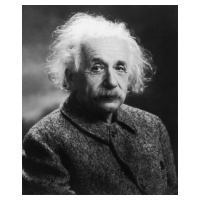 Fotografie Albert Einstein, MPI, 32.9 × 40 cm