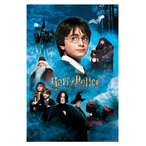 Plakát Harry Potter - Philosopher's Stone (51) Europosters