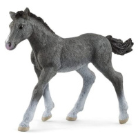 Schleich 13944 Hříbě trakénské