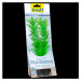Rostlina Tetra Green Cabomba M 23cm