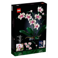 LEGO Icons 10311 Orchidej