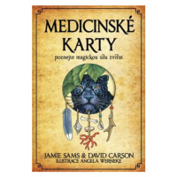 Medicinské karty (Kniha a 52 karet) - David Carson, Jamie Sams, Angela Werneke