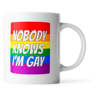 Sablio Hrnek Nobody knows I'am gay: 330 ml