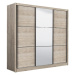 Šatní skříň s posuvnými dveřmi a zrcadlem debby 245 - dub šedý