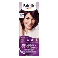 Palette Intensive Color Creme barva na vlasy Intenzivní fialový 6-99