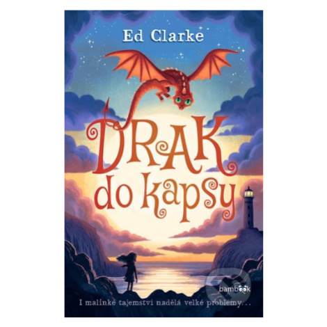 Drak do kapsy - Riina Kaarla - kniha z kategorie Pro děti bambook