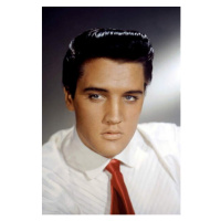 Umělecká fotografie Elvis Presley, (26.7 x 40 cm)
