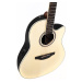 Applause AB24II CS Mid Cutaway Natural Satin