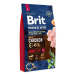 Krmivo Brit Premium by Nature Adult L 8kg