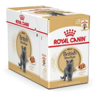 Royal Canin British Shorthair Gravy 12 × 85 g