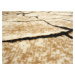 Alfa Carpets  Kusový koberec Superwood brown - 120x170 cm
