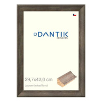 DANTIK rámeček 29,7 × 42, Lauren šedostříbrný plexi čiré