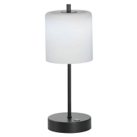 Černobílá LED stmívatelná stolní lampa (výška 34,5 cm) Riva – Fischer & Honsel