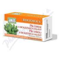 RHODIOLA tobolky při stresu 30ks Fytopharma