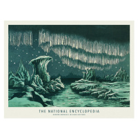 Obrazová reprodukce Aurora Borealis in High Altitude (Northern Lights / Celestial Print) - The N