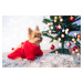 Vsepropejska Trinid vánoční mikina pro psa Barva: Zelená, Délka zad (cm): 28, Obvod hrudníku: 39