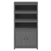 vidaXL Skříň highboard šedá 80 x 35 x 154 cm masivní borové dřevo