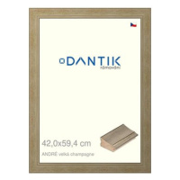 DANTIK rámeček 42 × 59,4, ANDRÉ velký champagne plexi čiré