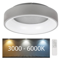 Rabalux Rabalux - LED Stmívatelné stropní svítidlo LED/24W/230V kulatý 3000-6000K + DO