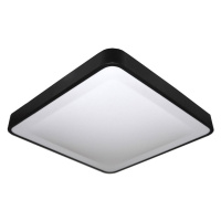 LED Stropní svítidlo WILTON LED/24W/230V černá