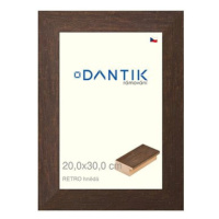 DANTIK rámeček 20 × 30, RETRO hnědý sklo čiré